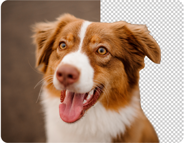 Free PNG Maker: Convert a JPG to a Transparent PNG Online