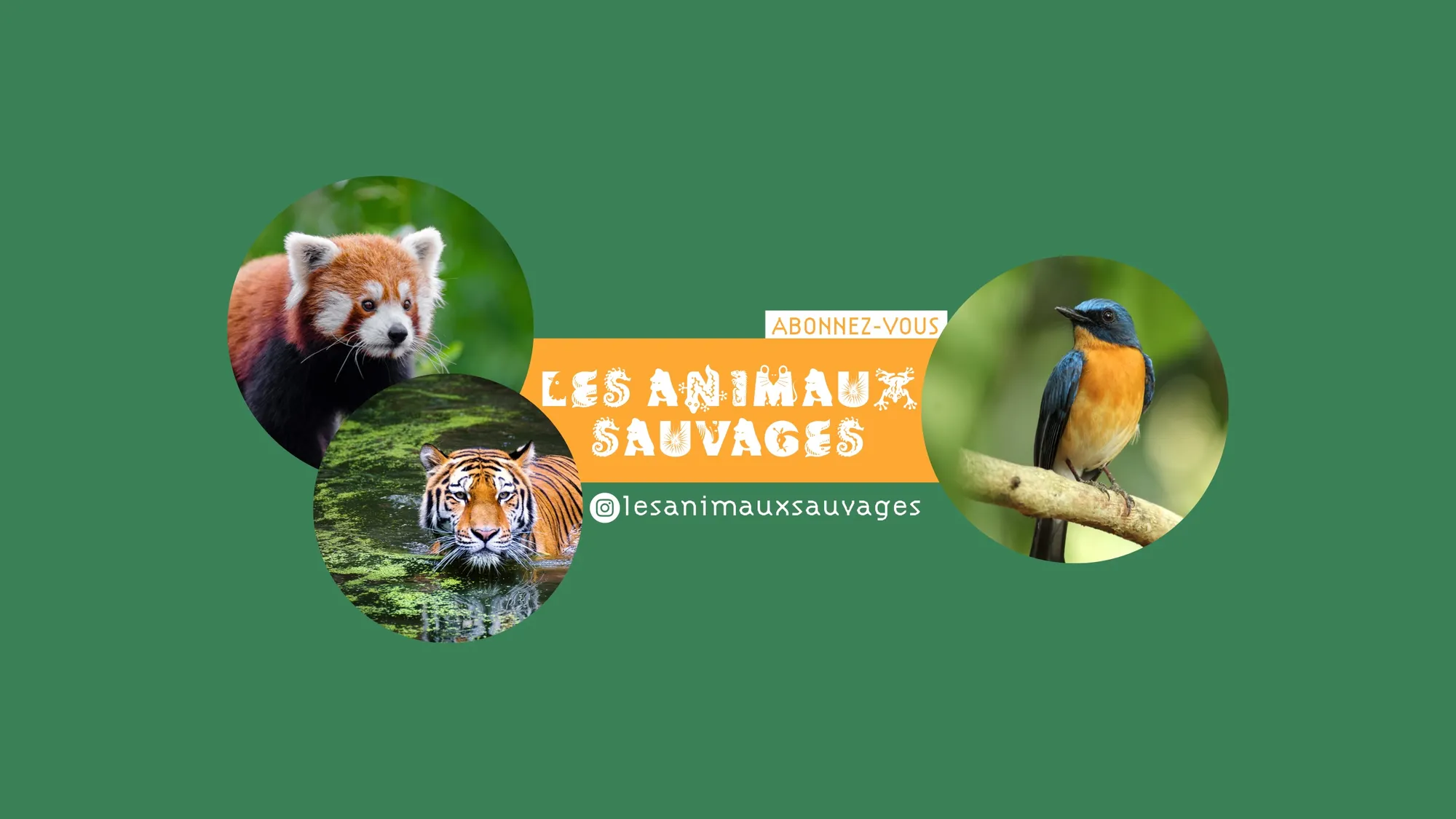 Green and Orange wild animals - YouTube channel art 