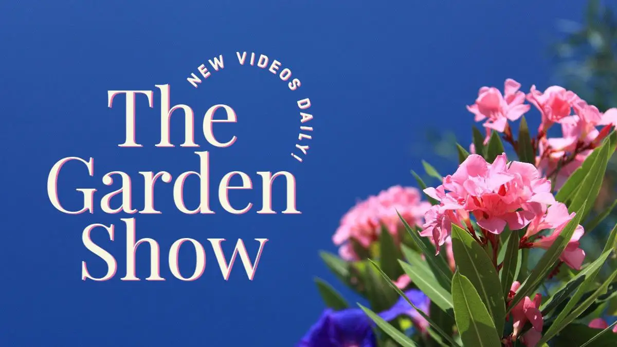 Blue Pink Green The Garden Show Youtube Channel Art