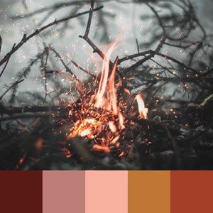 A color palette created from an image of a small fire made up of twigs