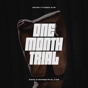 ONE MONTH TRIAL 50 Modern Fonts