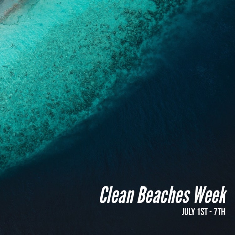 A picture containing text, ocean floor Description automatically generated