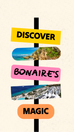 A travel-related template with snapshots of a beach alternated with