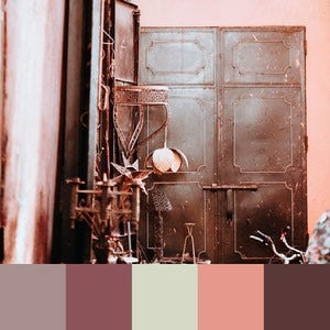 A color palette created from an image of a metallic brown door on a light pink building
