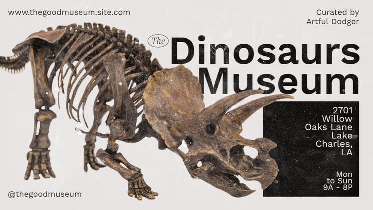 A Facebook Business Page cover photo for a dinosaur museum with relevant contact and visitor information