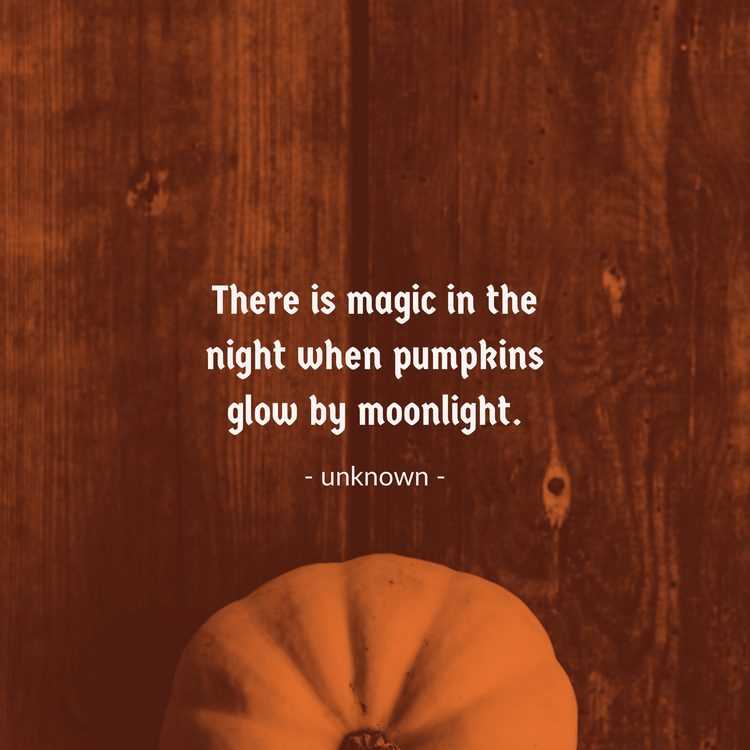"There is magic in the night when pumpkins glow by moonlight" Halloween Instagram post with an aerial image of a pumpkin on a wooden floor