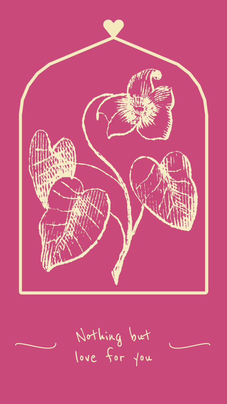 "Nothing but love for you" with a sketch of a flower with 3 leaves enclosed in a box with a heart at the top against a pink background
