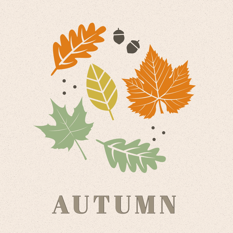 "Autumn" Instagram post with graphics of various leaves and nuts with a fall color palette