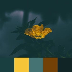 A color palette created from an image of a bright yellow flower with dark green leaves