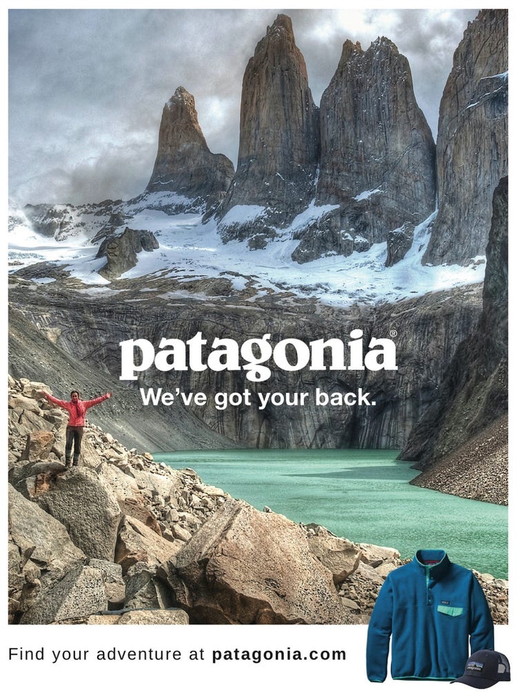 A Patagonia marketing campaign with a person posing in front of a high-mountain lake with the words "Patagonia. We've got your back."