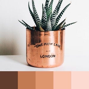 A color palette created from an image of a bronze flowerpot against a white background