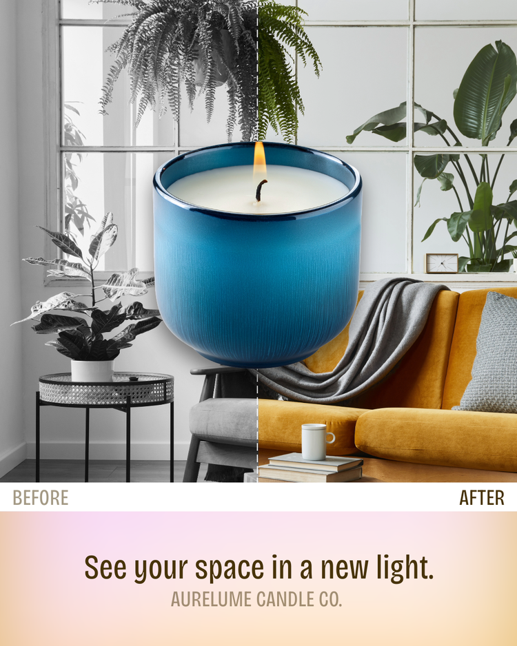 Before and after shot template