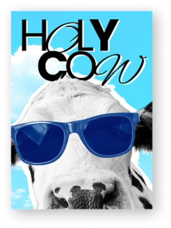 A cow with blue sunglasses against a bright blue sky with the phrase