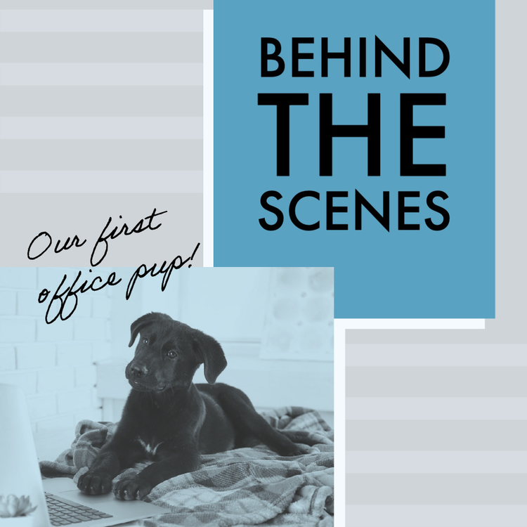A social media influencer's post highlighting their company culture – behind the scenes, our first office pup! – with an image of a puppy