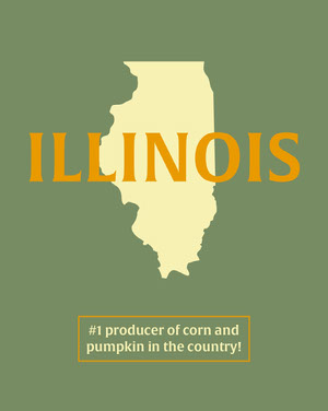 Green Illinois Educational Instagram Portrait Graphic 50 Modern Fonts