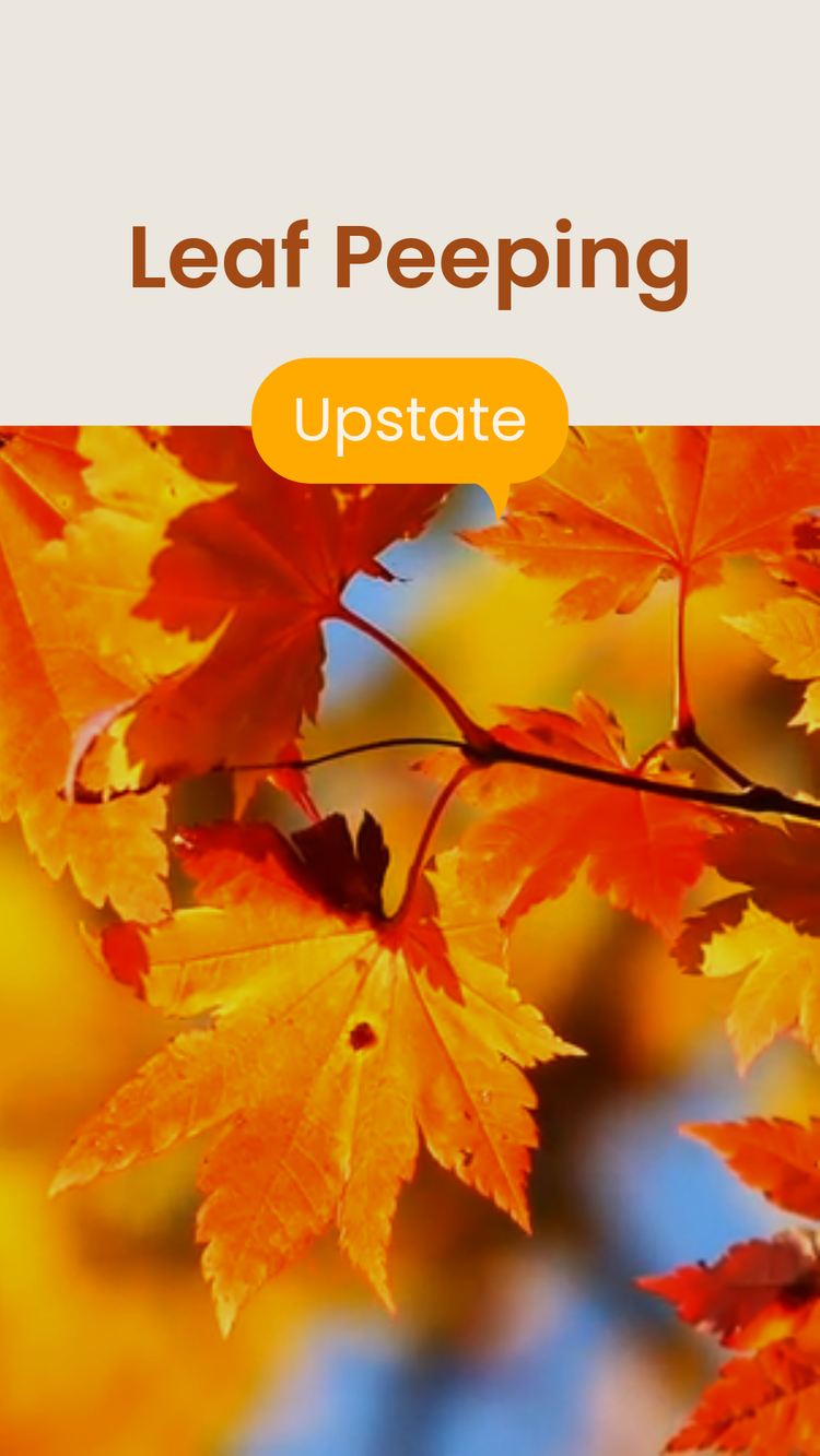 Leaf peeping template