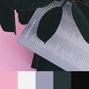 A color palette created from an image of a light grey book with dark green leaves against a light pink background