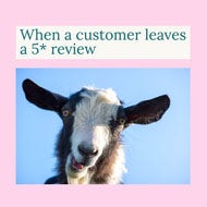 Pink Happy Goat Customer Review Meme