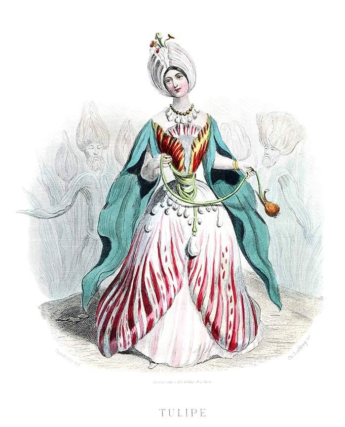 An illustration of a empress