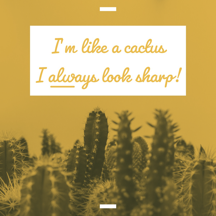 "I'm like a cactus I always look sharp!" Instagram post with images of cacti against a mustard background