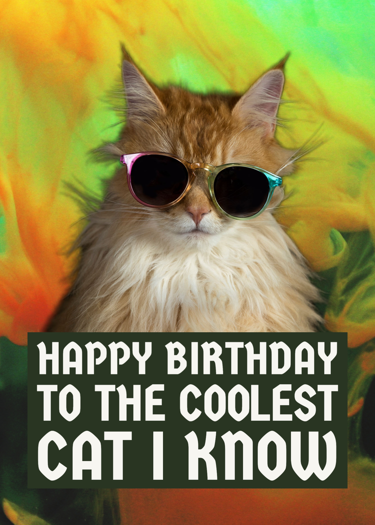 "Happy birthday to the coolest cat I know" card with a cat wearing rainbow sunglasses