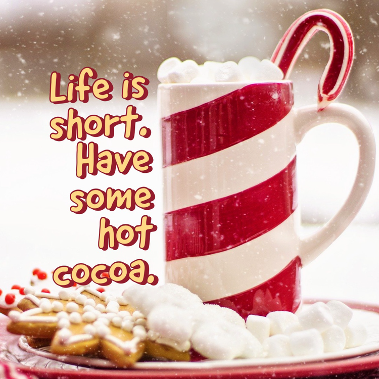 "Life is short. Have some hot coca." snowy Instagram post with a candy cane patterned mug sitting on a plate with frosted cookies