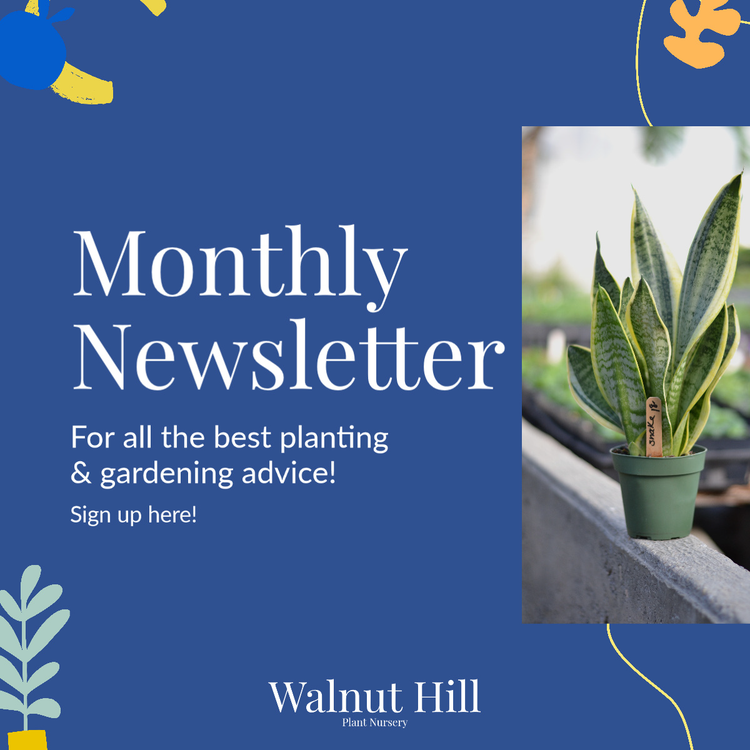 A CTA to sign up for a monthly newsletter for planting and gardening advice