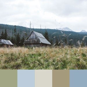 A color palette created from an image of a brown cabin in long green grass with mountains behind it