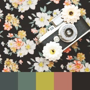 A color palette created from an image of a film camera lying on a black, white, yellow, pink, and green floral print