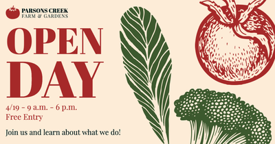 A picture containing background pattern Description automatically generated