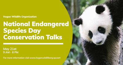 A panda bear in front of a sign Description automatically generated with low confidence