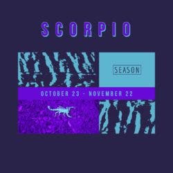 Collage image featuring various green and purple textures