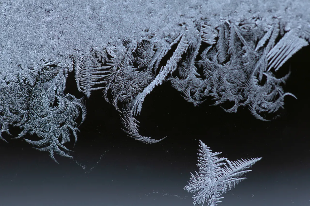 Free to use images: macro shot of frost