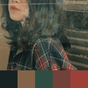 A color palette created from an image of a person from the nose down wearing a red, green, black and brown plaid shirt