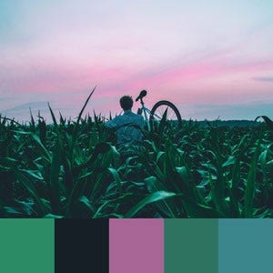 A color palette created from an image of a person in a green field watching the last rays of a pink and blue sunset