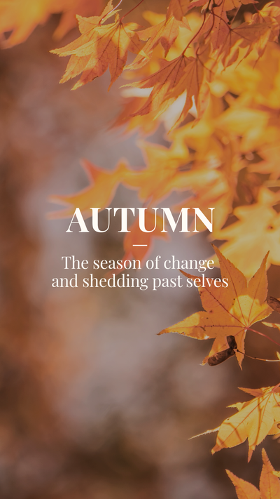 Autumn, the season of change template