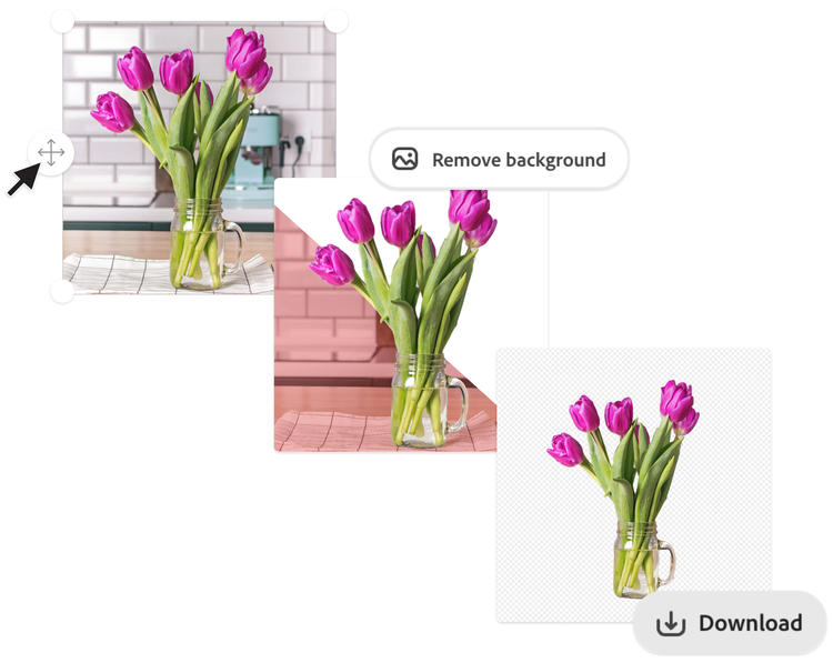 Depicting the process of uploading a photo to Adobe Express and removing the background by using a sample image of flowers in a vase