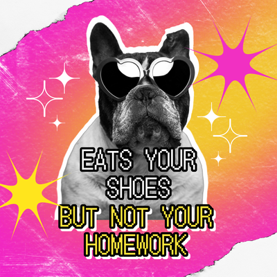 2025 Adobe Express Levity and Laughter trend with a dog in sunglasses