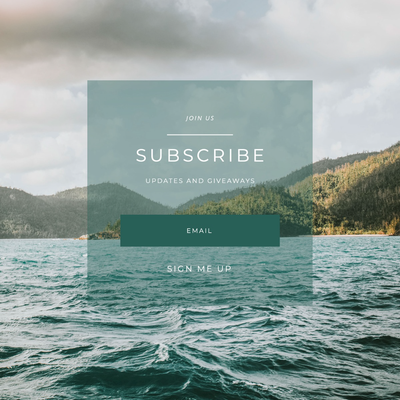 A CTA with an area to put your email and click "sign me up" to get subscribed to updates and giveaways