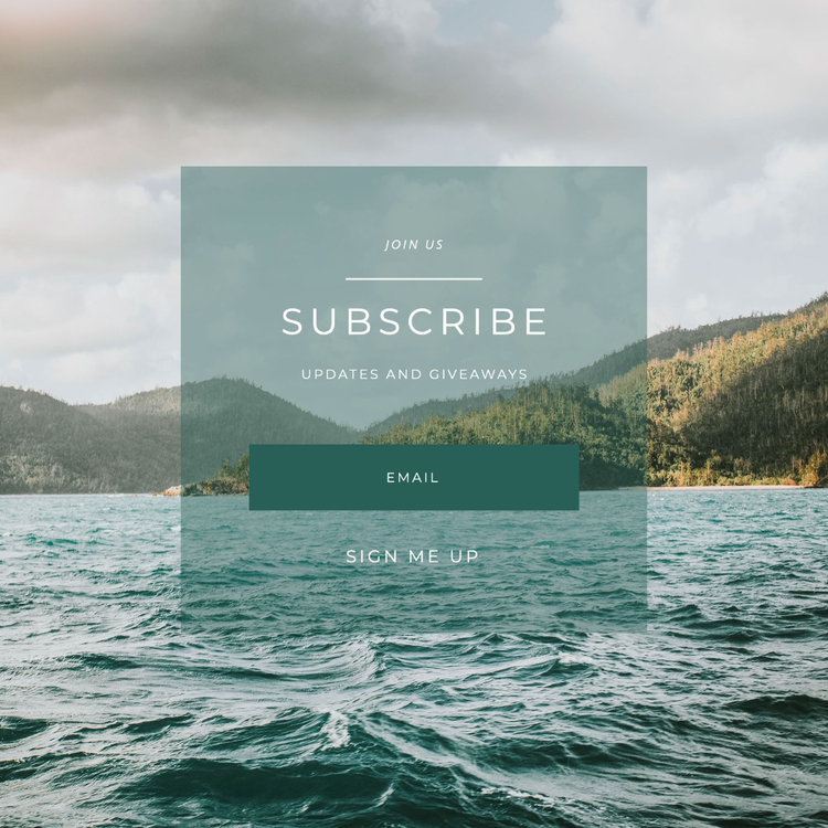 A CTA with an area to put your email and click "sign me up" to get subscribed to updates and giveaways