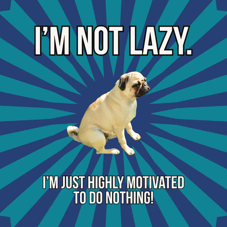 A meme with a pug in the middle and the text "I'm not lazy. I'm just highly motivated to do nothing!"