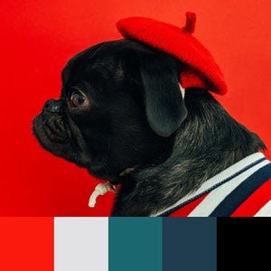 A color palette created from an image of a black dog wearing a red barrette hat and a blue, red, and white striped shirt