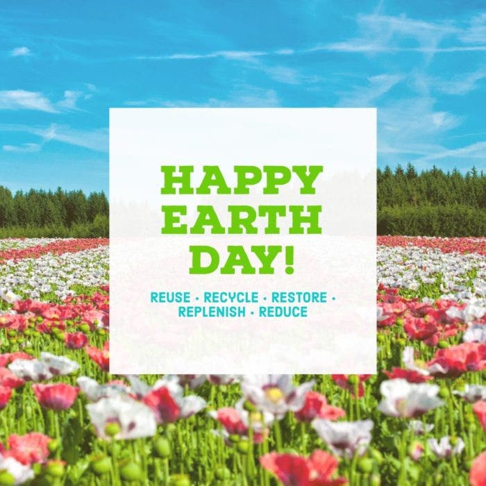 Social media post featuring a field of flowers with a square in the center, celebrating the Earth Day.
