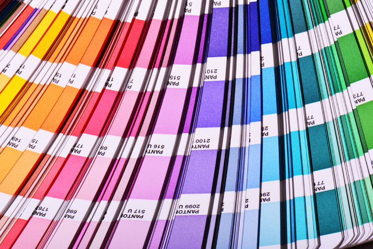color swatches fanned out from yellow, orange, pink, purple, blue, green