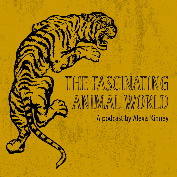 "The Fascinating Animal World" podcast with an icon of a roaring tiger against a yellow background