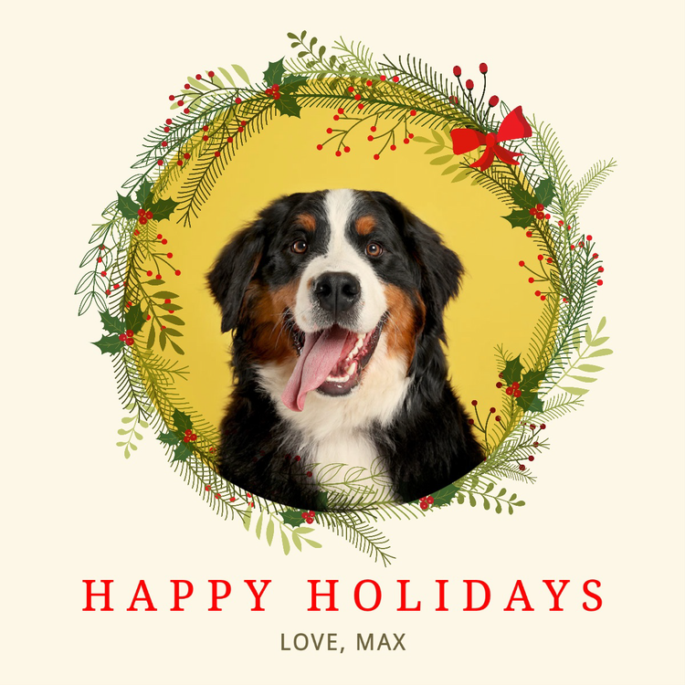 "Happy Holidays Love, Max" Instagram post with a Bernese mountain dog with its tongue out cropped into a graphic wreath