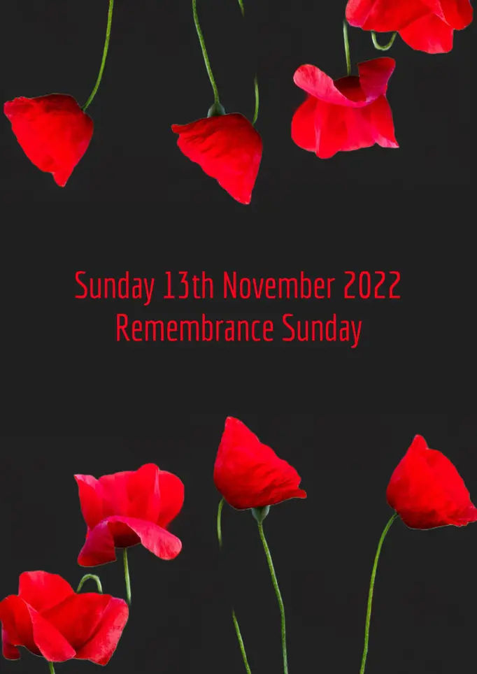 Black Red & Green Poppy Remembrance Sunday A3 Poster