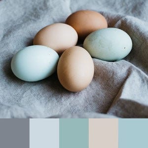 A color palette created from an image of light brown and blue eggs nestled in a grey cloth