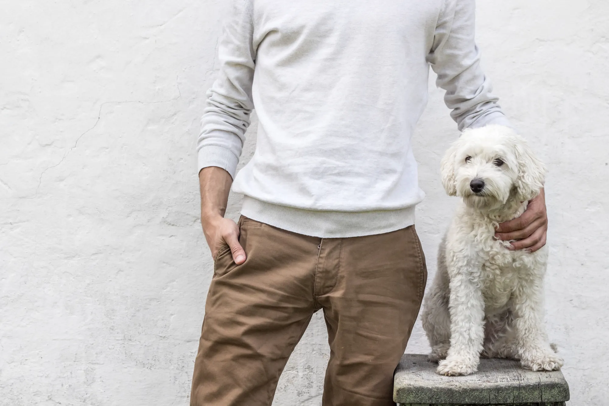 Free to use images: a man standing next to a dog