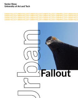 White image with a photograph of. a pigeon layered overtop